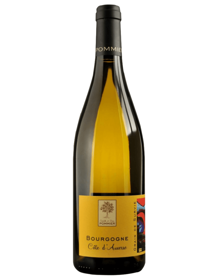 bourgueil