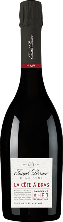 Champagne